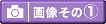 ���y�Y�����̑��̉摜����1�̓R�`��