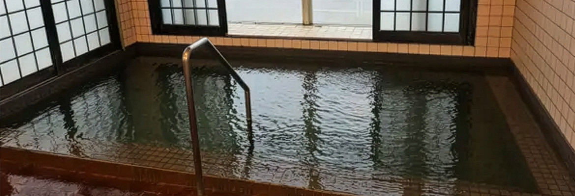 炭酸ガスがたっぷり入った炭酸水素塩泉を源泉かけ流しで体感