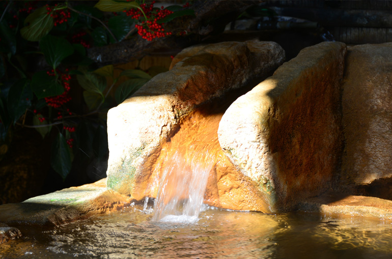 源泉かけ流しの自家源泉
